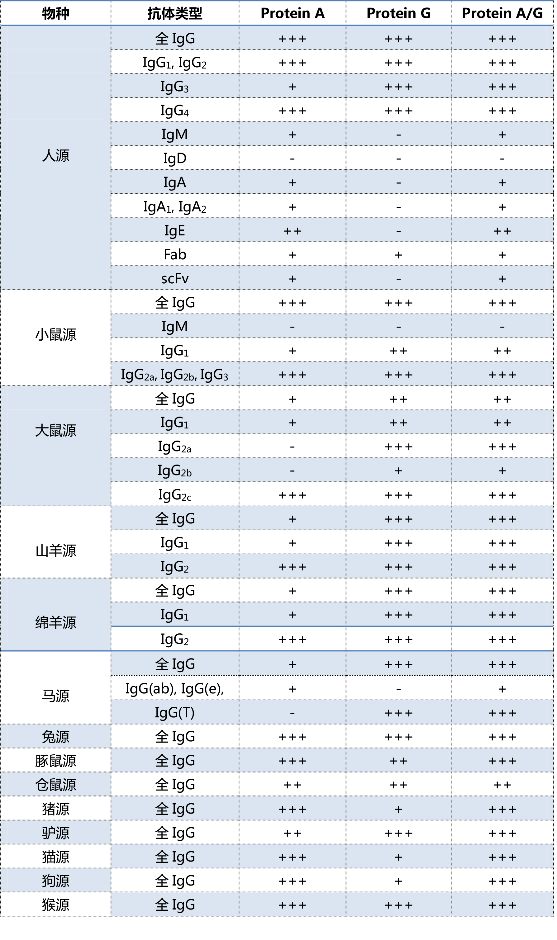 Protein AProtein GProtein A/G