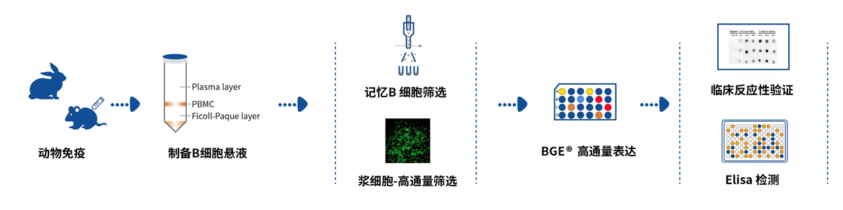 Monkeypox-virus-workflow